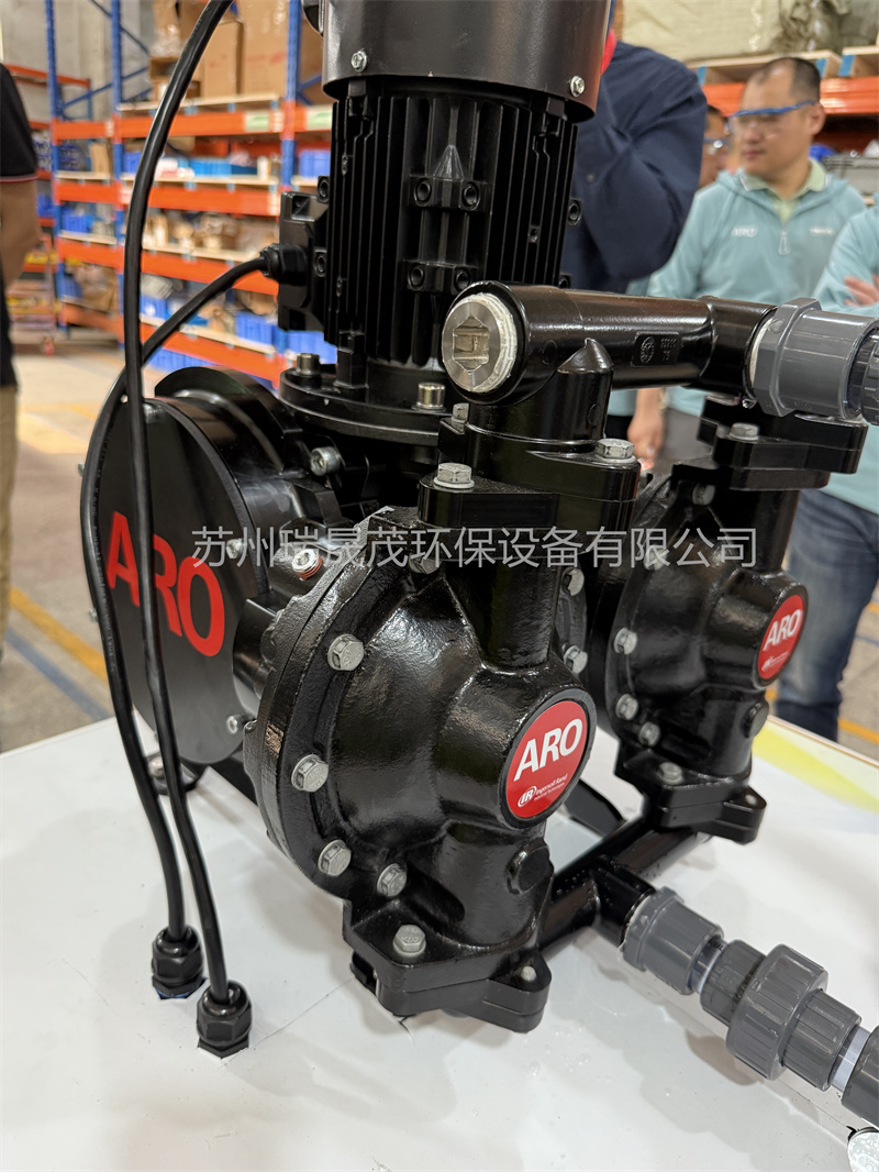 1743392133167410.jpg P04.jpg